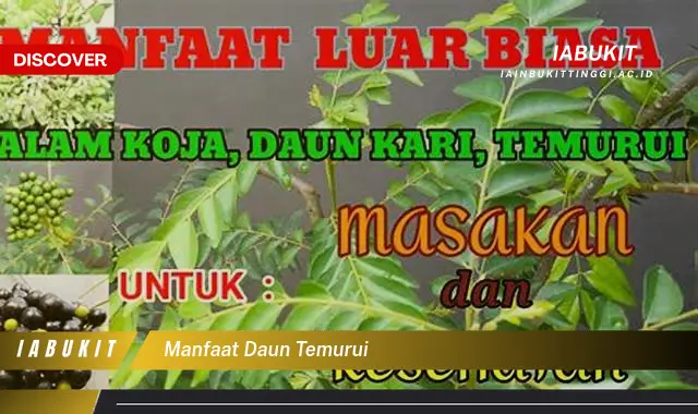 manfaat daun temurui