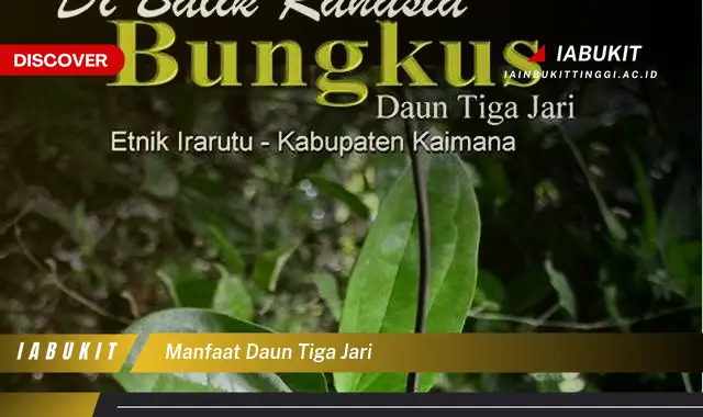 manfaat daun tiga jari