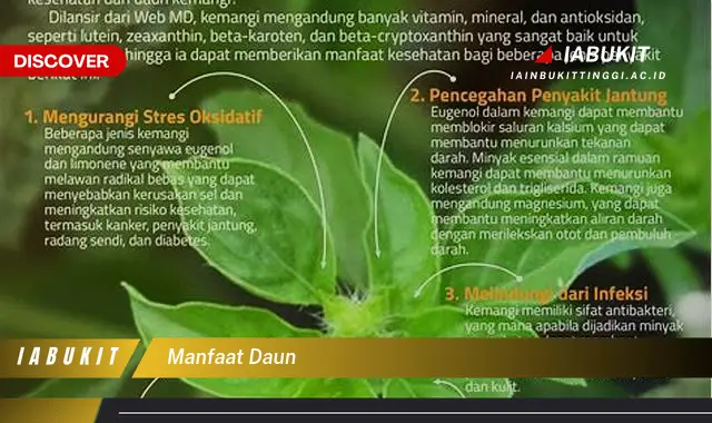 manfaat daun