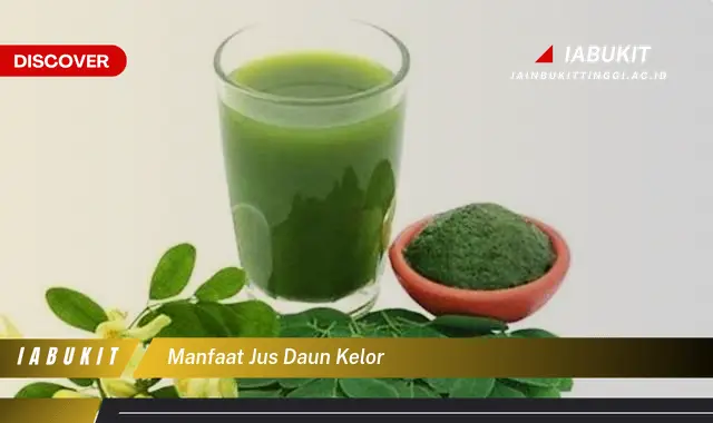 manfaat jus daun kelor