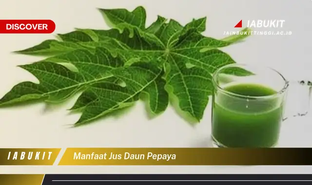 manfaat jus daun pepaya