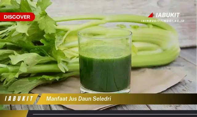 manfaat jus daun seledri