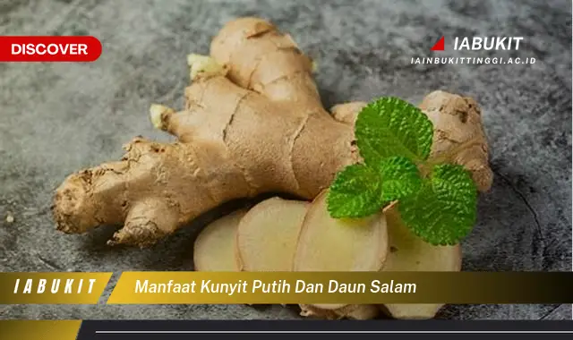 manfaat kunyit putih dan daun salam