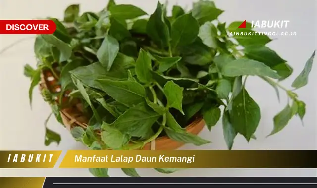 Bukan cuma daun bawang! Ini dia 7 Manfaat lalap daun kemangi yang Wajib Diketahui