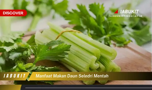 manfaat makan daun seledri mentah