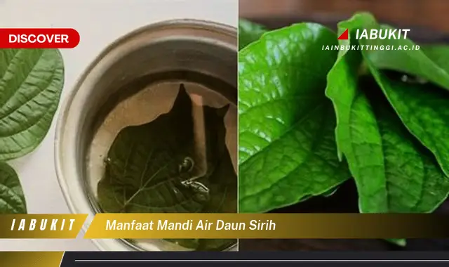 manfaat mandi air daun sirih