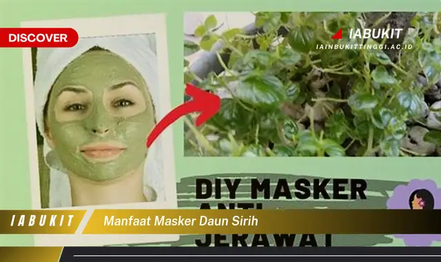 manfaat masker daun sirih