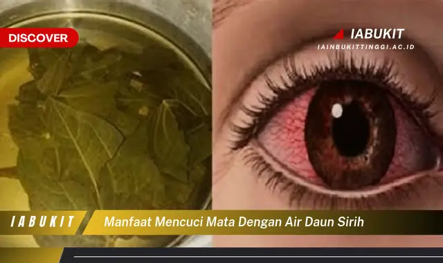 manfaat mencuci mata dengan air daun sirih