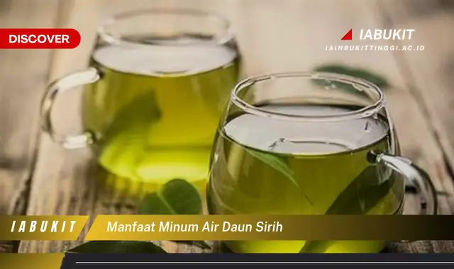 manfaat minum air daun sirih