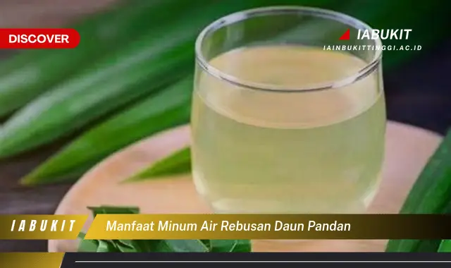 manfaat minum air rebusan daun pandan