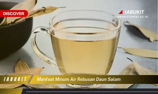 manfaat minum air rebusan daun salam