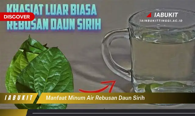 manfaat minum air rebusan daun sirih