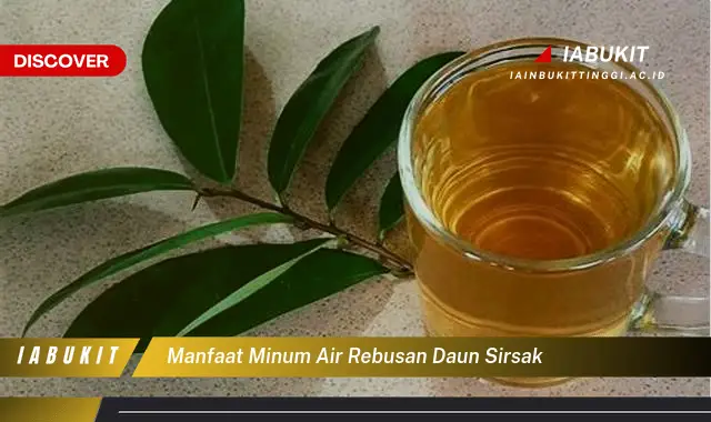 manfaat minum air rebusan daun sirsak