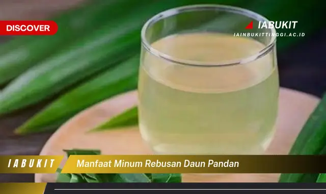 manfaat minum rebusan daun pandan