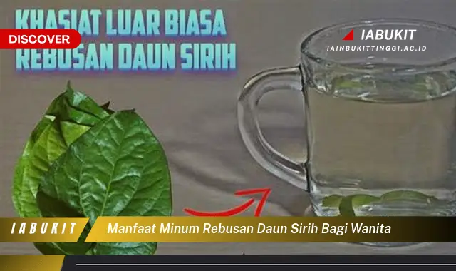 manfaat minum rebusan daun sirih bagi wanita