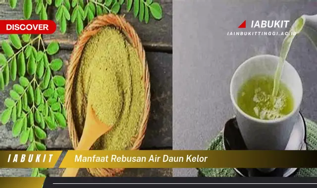 manfaat rebusan air daun kelor