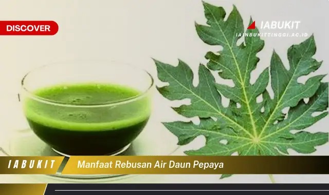 manfaat rebusan air daun pepaya