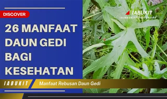 manfaat rebusan daun gedi