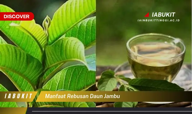 manfaat rebusan daun jambu