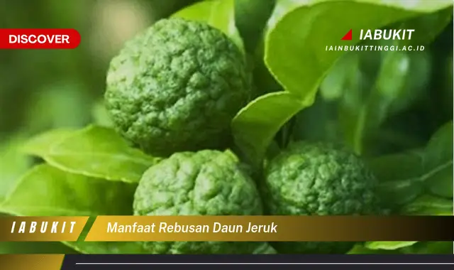 manfaat rebusan daun jeruk