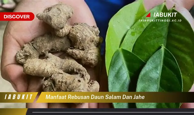 manfaat rebusan daun salam dan jahe