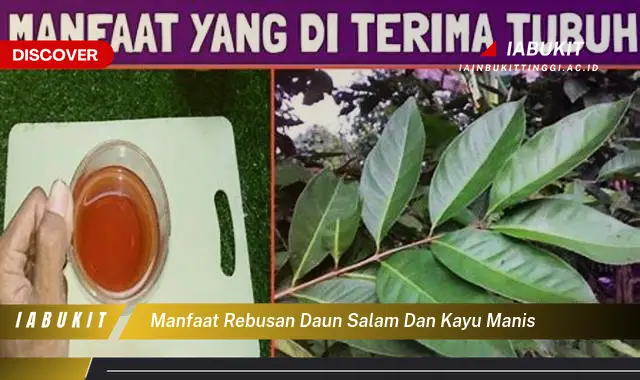 manfaat rebusan daun salam dan kayu manis