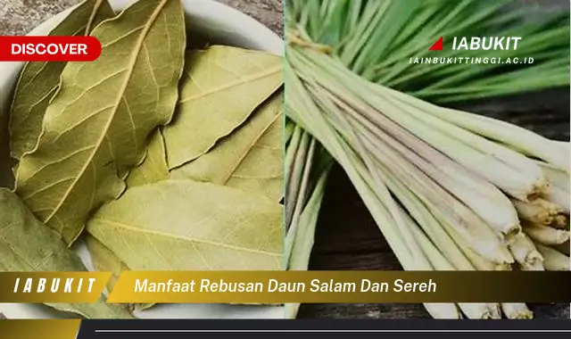 manfaat rebusan daun salam dan sereh