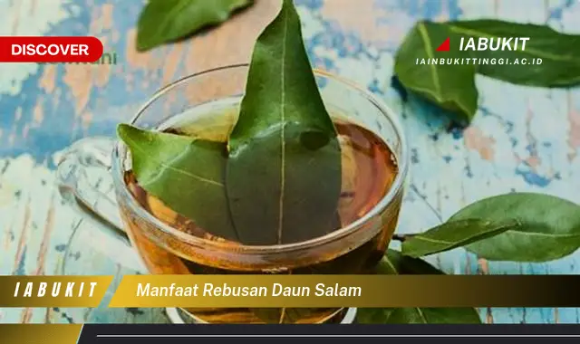 manfaat rebusan daun salam