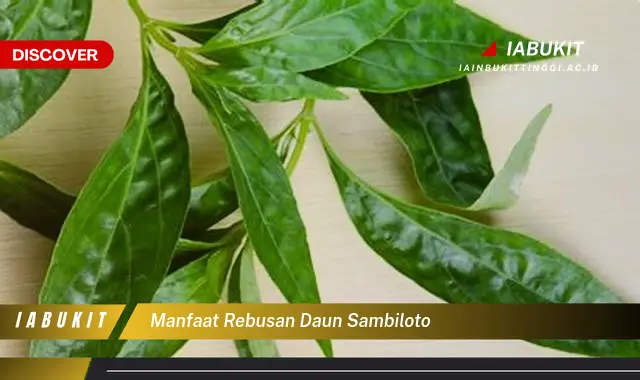 manfaat rebusan daun sambiloto