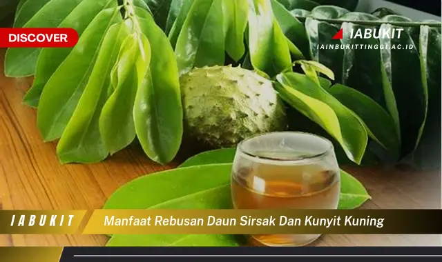 manfaat rebusan daun sirsak dan kunyit kuning