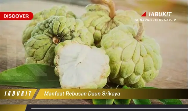 manfaat rebusan daun srikaya