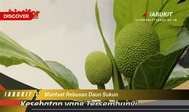 manfaat rebusan daun sukun