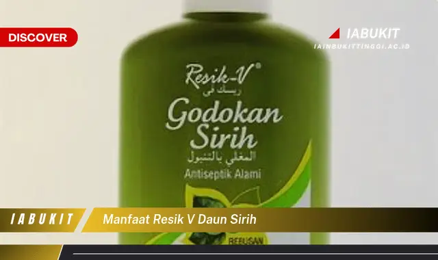 manfaat resik v daun sirih