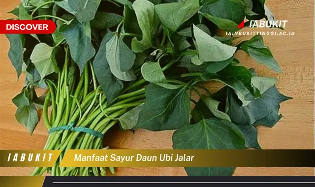 manfaat sayur daun ubi jalar