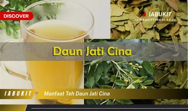 manfaat teh daun jati cina