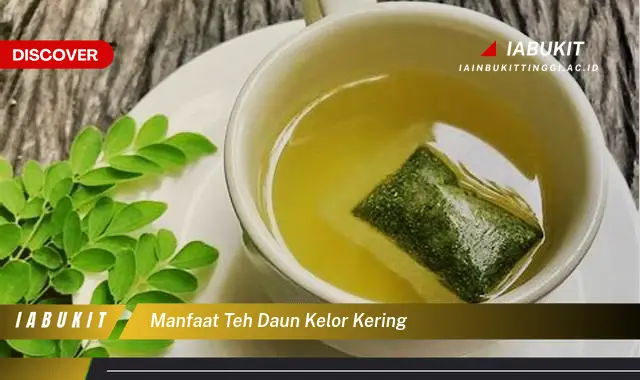 manfaat teh daun kelor kering