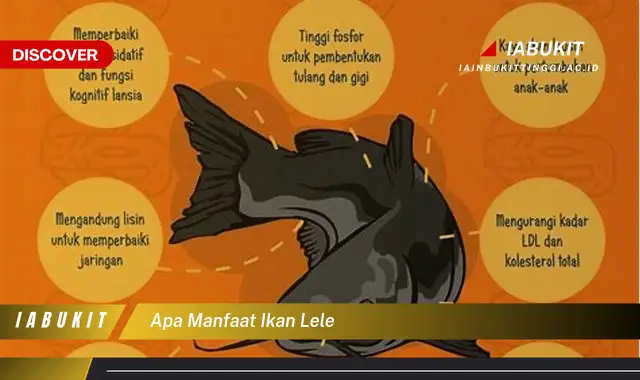 apa manfaat ikan lele