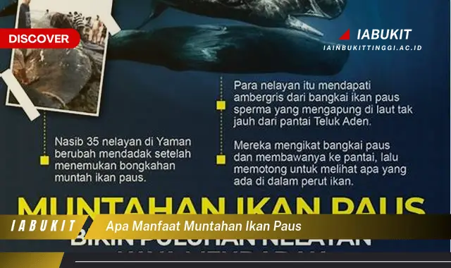 apa manfaat muntahan ikan paus