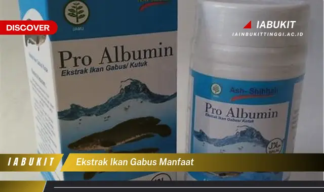 ekstrak ikan gabus manfaat ekstrak ikan gabus manfaat
