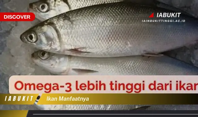 ikan manfaatnya