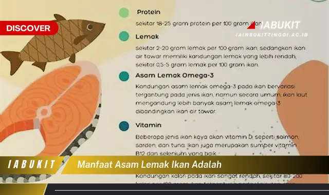 Temukan 7 Manfaat Asam Lemak Ikan yang Wajib Kamu Intip - Discover