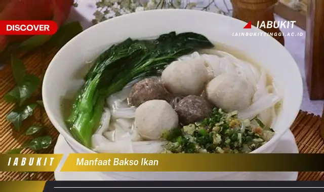 manfaat bakso ikan