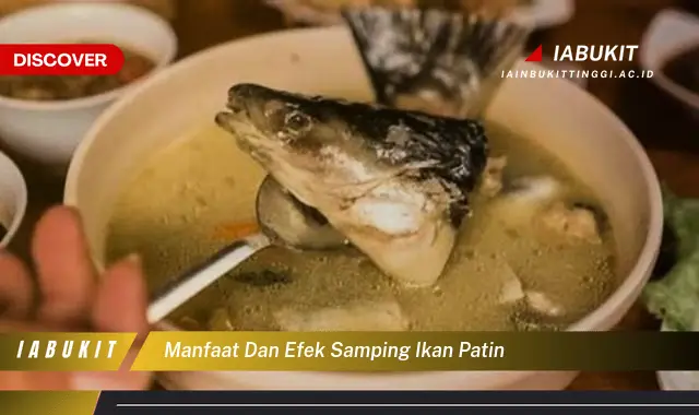 manfaat dan efek samping ikan patin