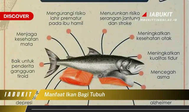 manfaat ikan bagi tubuh