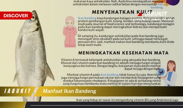 manfaat ikan bandeng