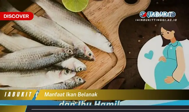 manfaat ikan belanak