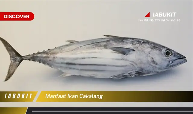 manfaat ikan cakalang