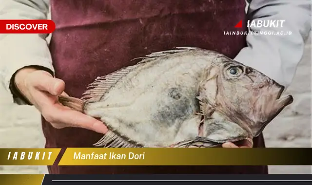 manfaat ikan dori