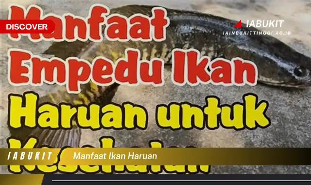 manfaat ikan haruan