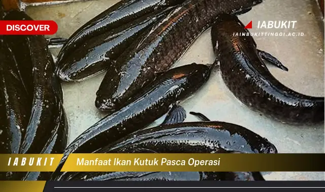 manfaat ikan kutuk pasca operasi